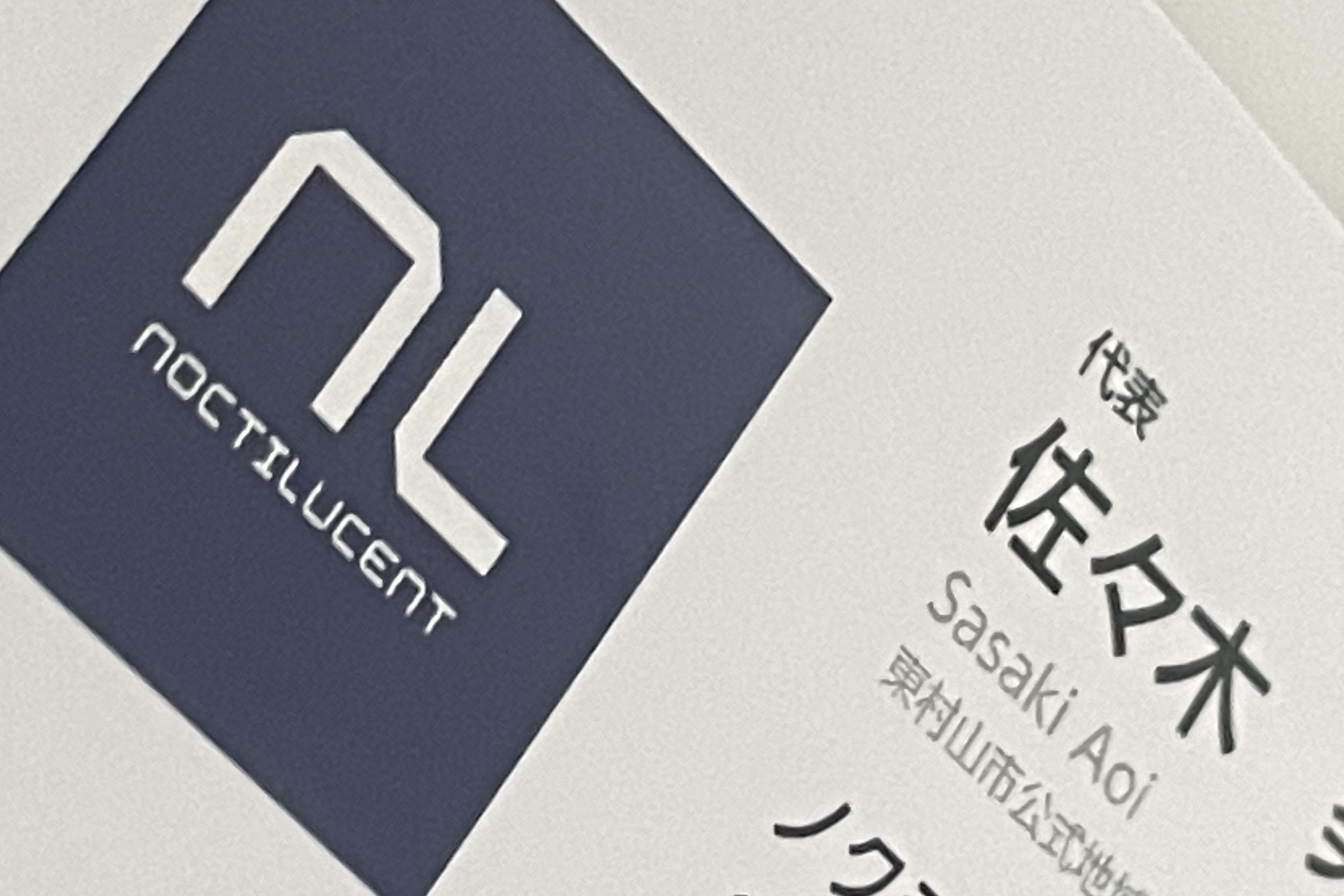 Noctilucentのホームページを公開しました